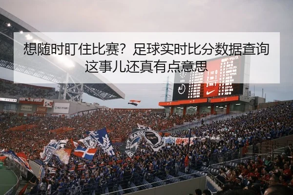 想随时盯住比赛？足球实时比分数据查询这事儿还真有点意思