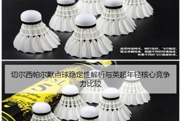 切尔西帕尔默点球稳定性解析与英超年轻核心竞争力比较